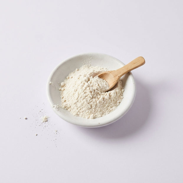 Bacillus coagulans