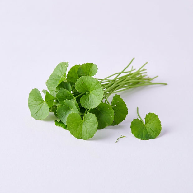Centella asiática